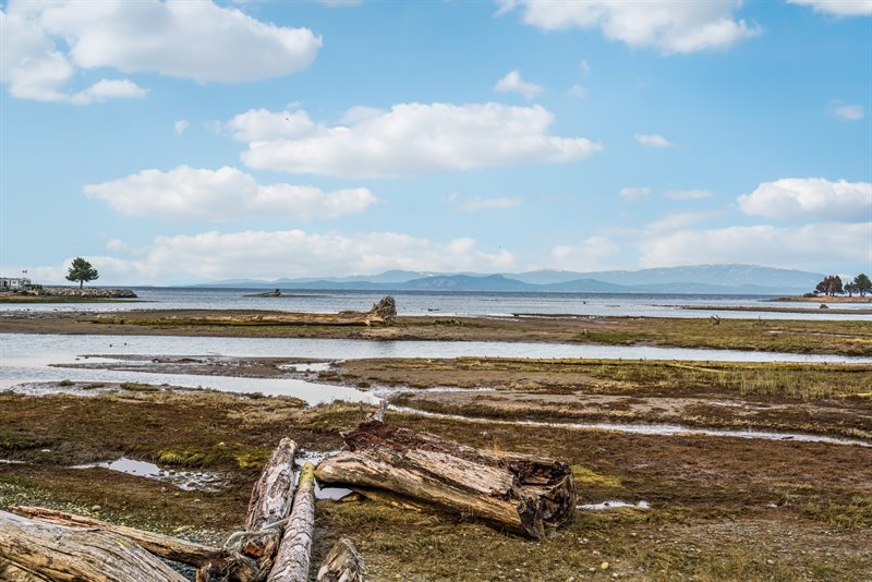 Englishman River Estuary