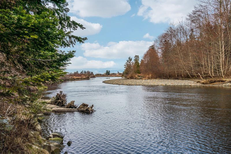 Englishman River Estuary