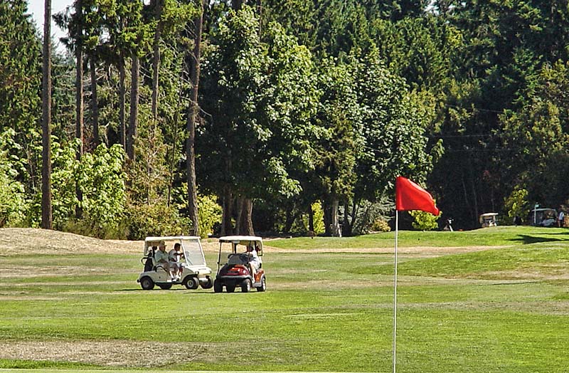 Walk to Eaglecrest Golf Course