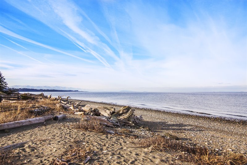 Walk to the Beach