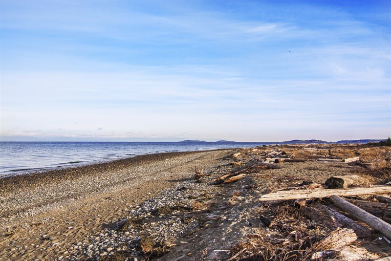 Walk to the Beach
