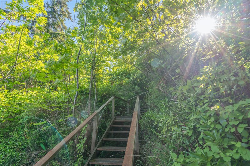 Stairway to Beach