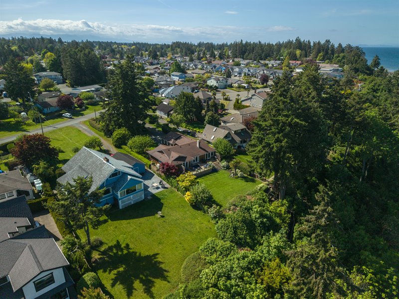 Aerial Overview