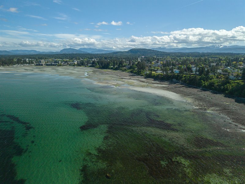 Aerial Overview