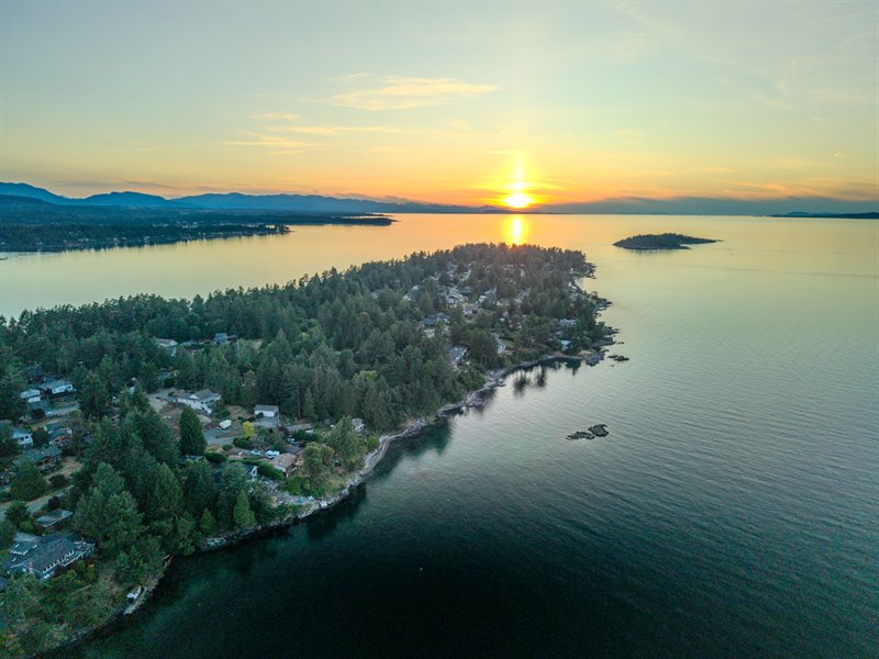 Aerial Overview
