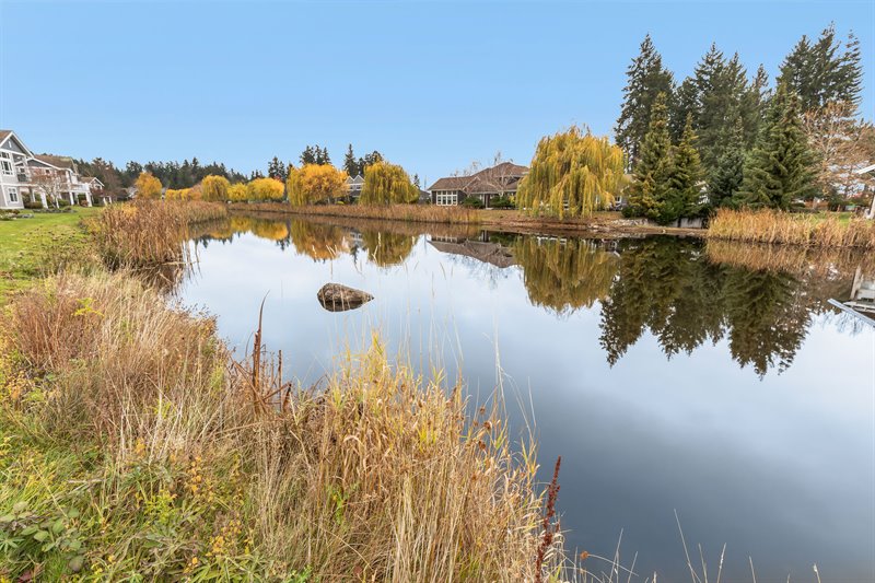 Steps Away from the Pond