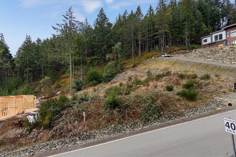 Lot - Aerial Overview