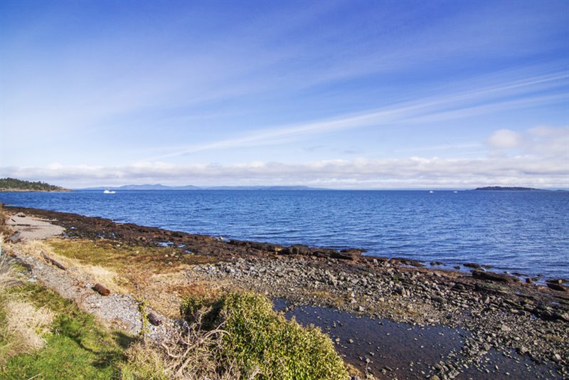 Short Stroll to Beach Access