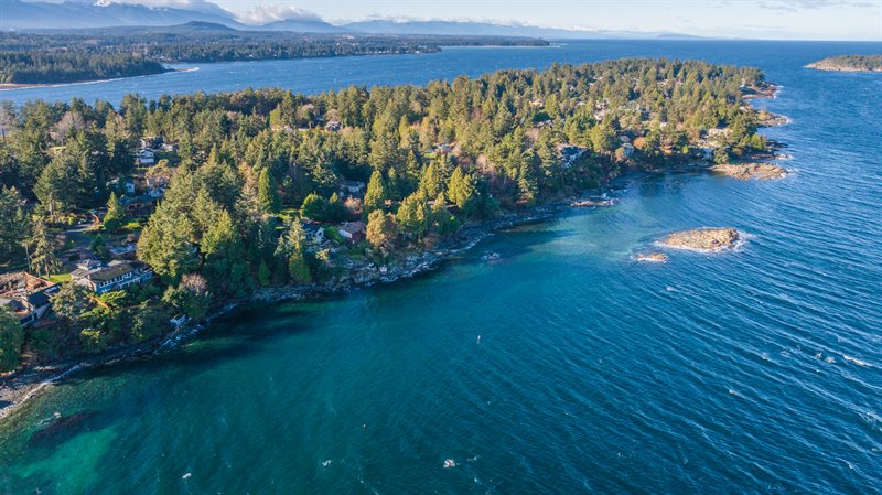 Area Overview - Beachcomber