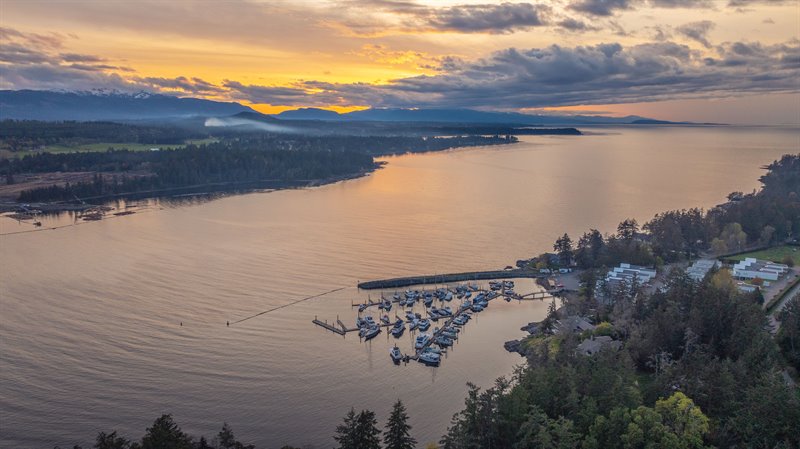 Area Overview - Beachcomber