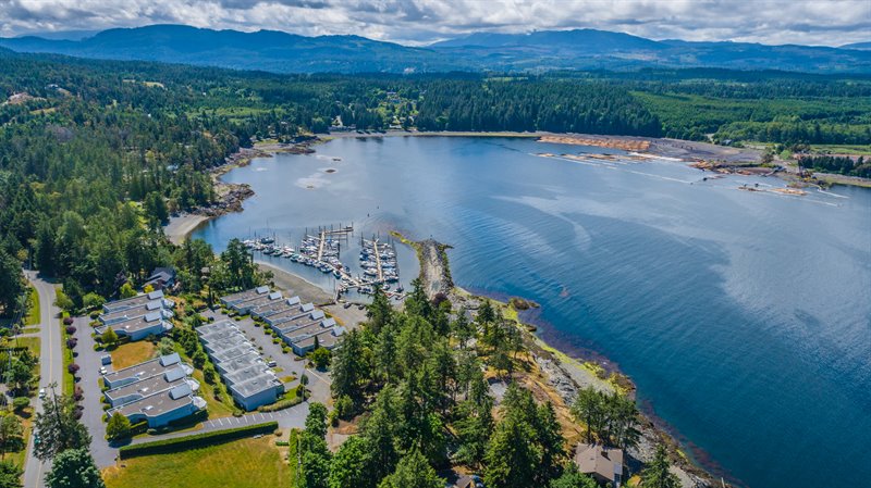 Area Overview - Beachcomber