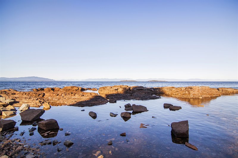 Walk to Beachcomber Regional Park