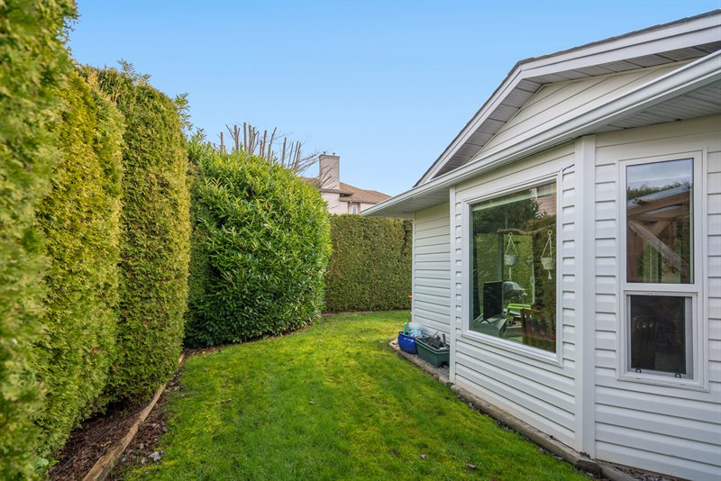 Embraced by Privacy Hedging