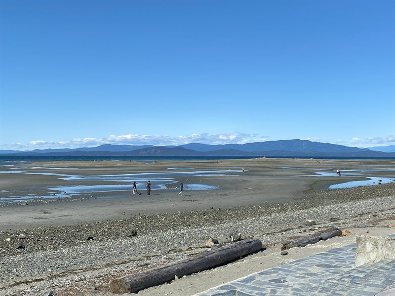 Walk to the Beach | Boardwalk