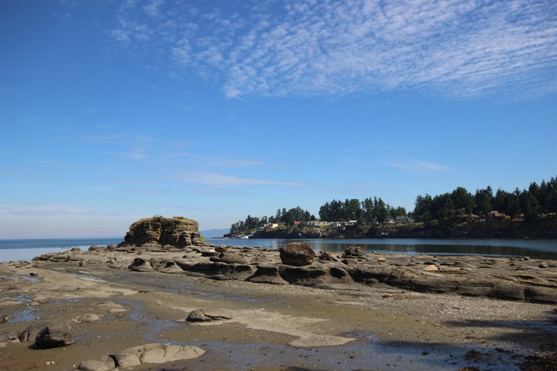 Walk to Madrona Park Beach