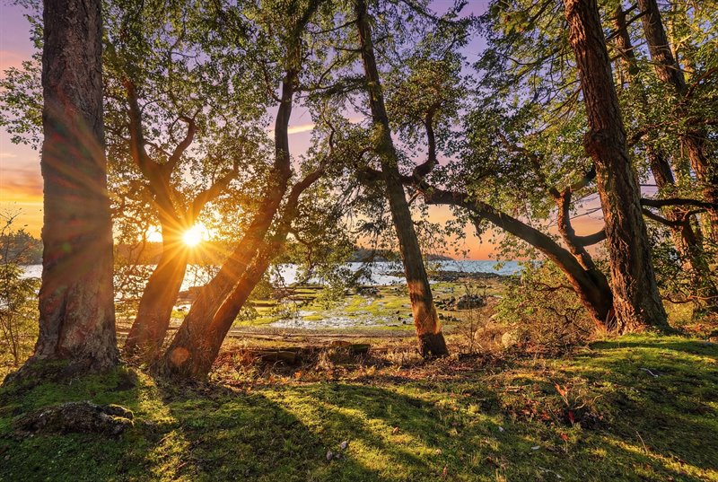 Waterfront (Twilight)