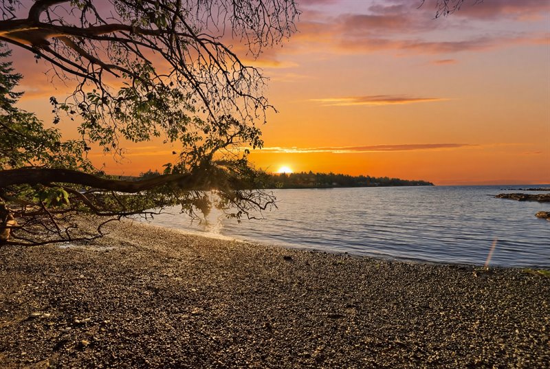 Waterfront (Twilight)