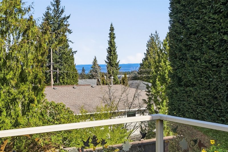 Deck View