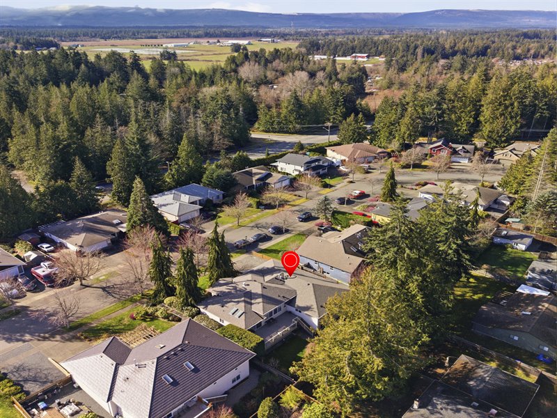 Aerial Overview