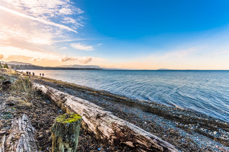 Short Walk to the Beach