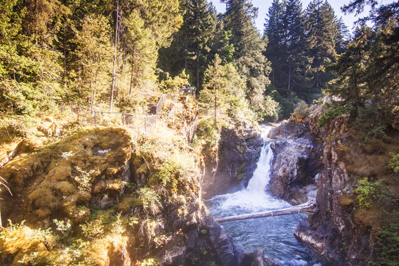 Easy Access to Little Qualicum Falls Park