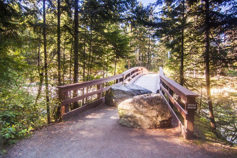 Easy Access to Little Qualicum Falls Park