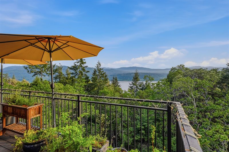 Deck View