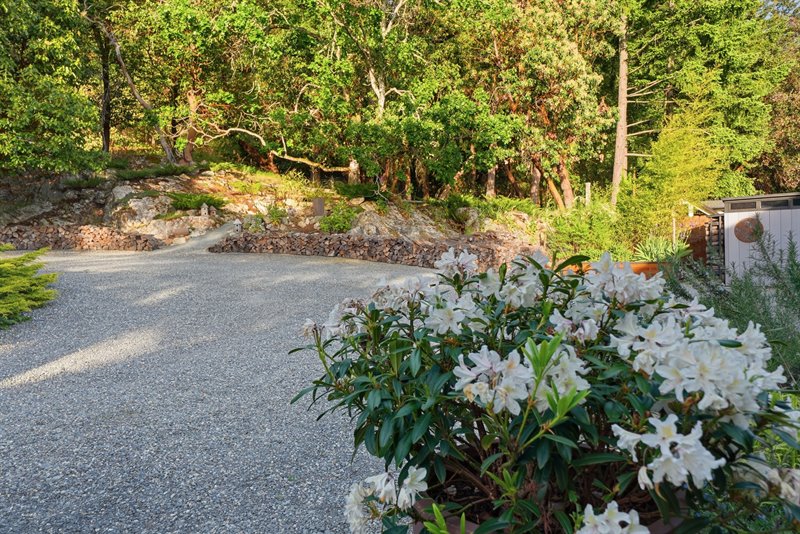 Magical Gardens and Landscaping