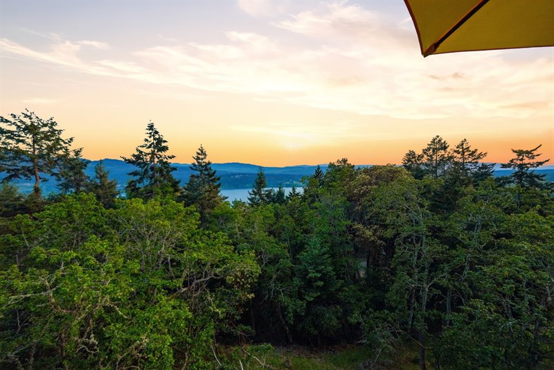 View (Twilight)