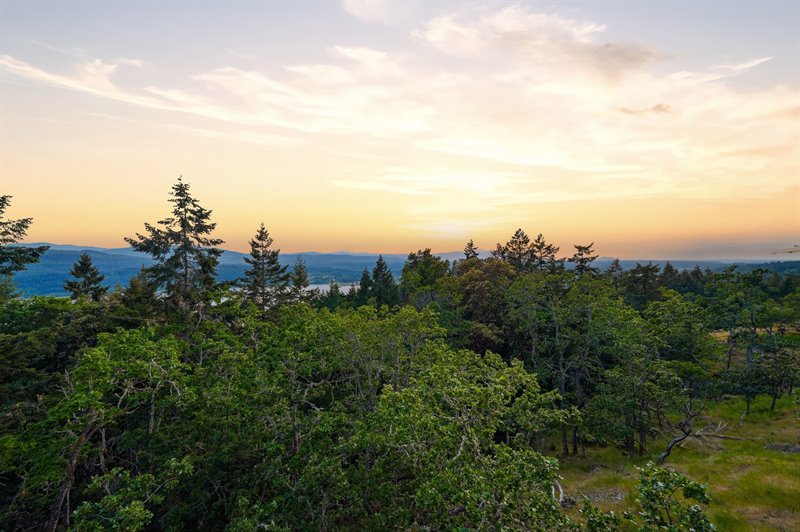 View (Twilight)