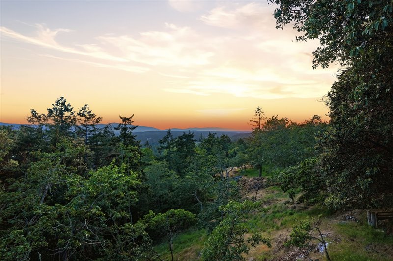 View (Twilight)