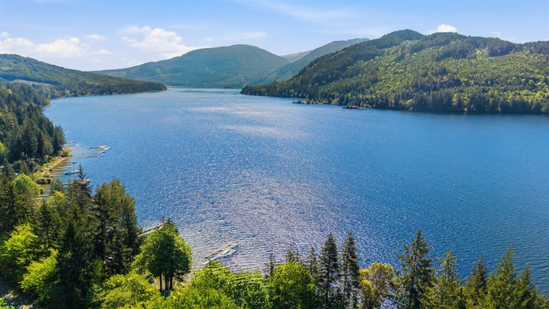 Area Overview - Horne Lake