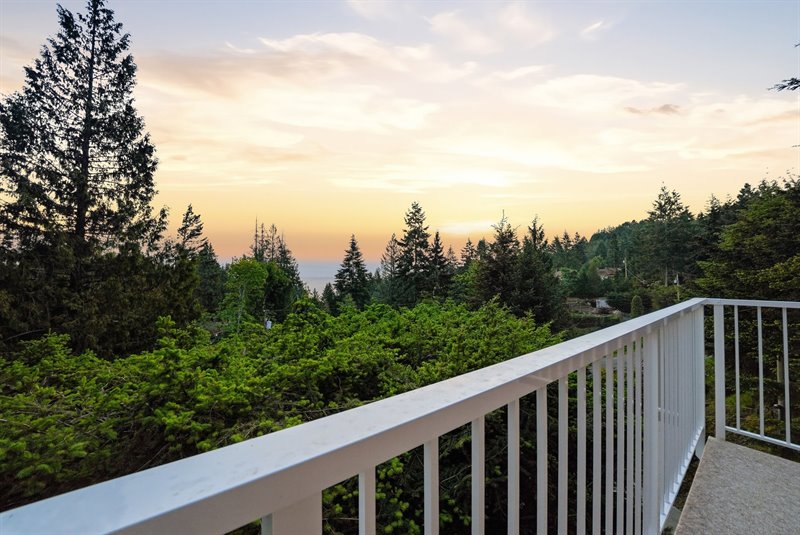 Deck View