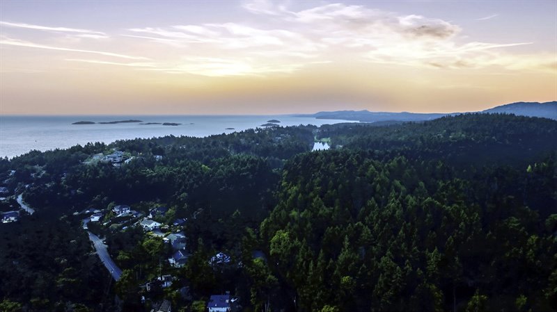 Area Overview