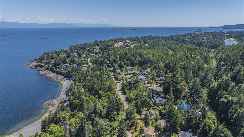 Area Overview