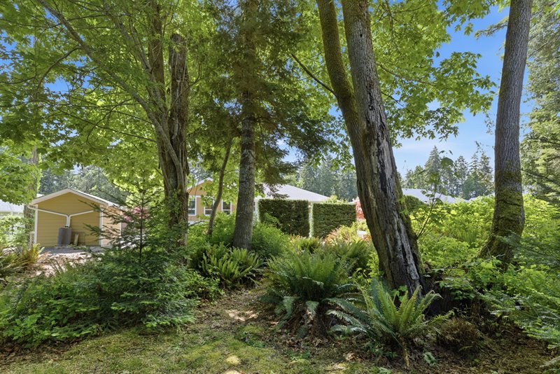 Exterior | Back of Property
