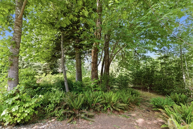 Back of Property