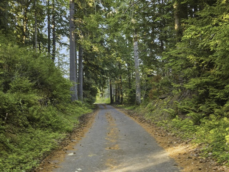 Entry Drive