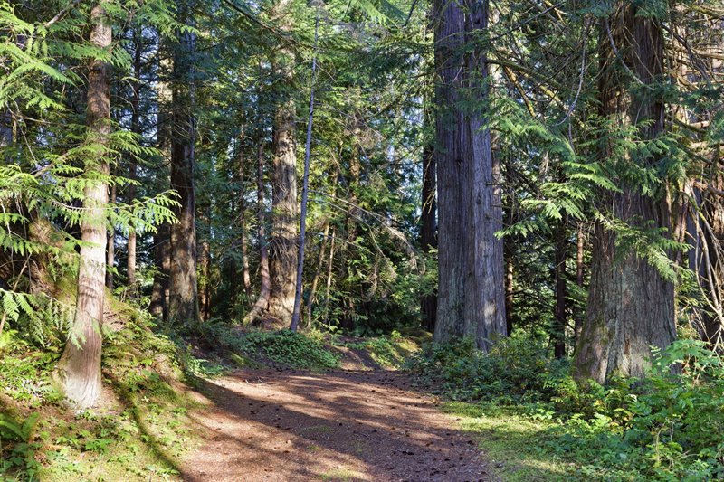 Entry Drive