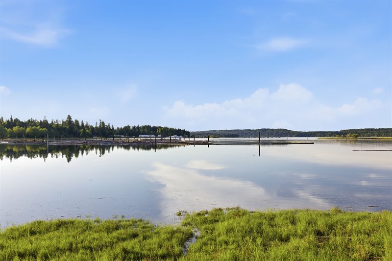 Waterfront | View