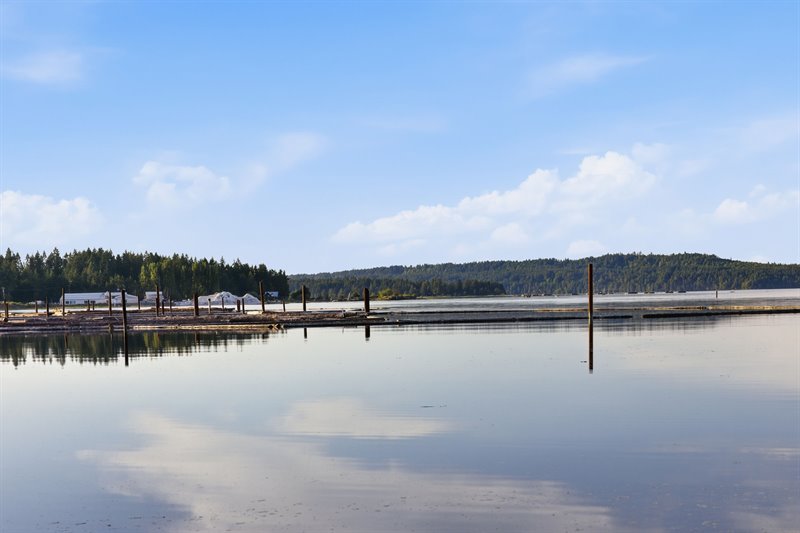 Waterfront | View