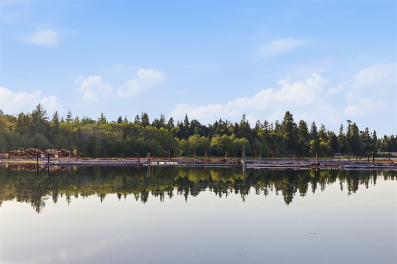 Waterfront | View