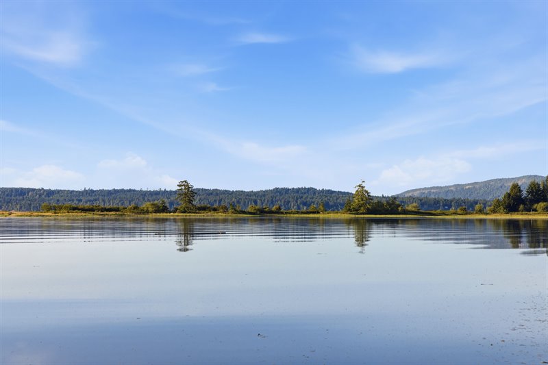 Waterfront | View