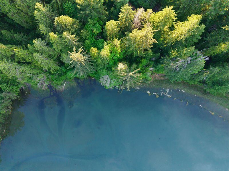 Aerial Overview