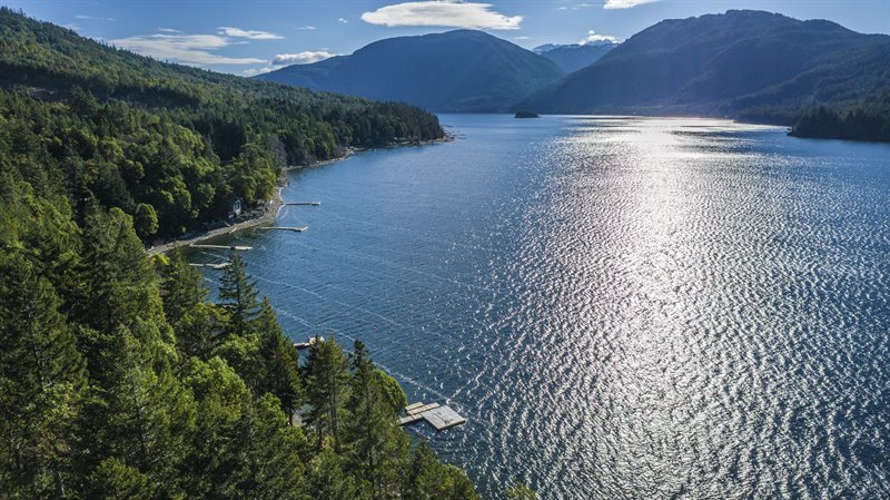 Area Overview - Horne Lake