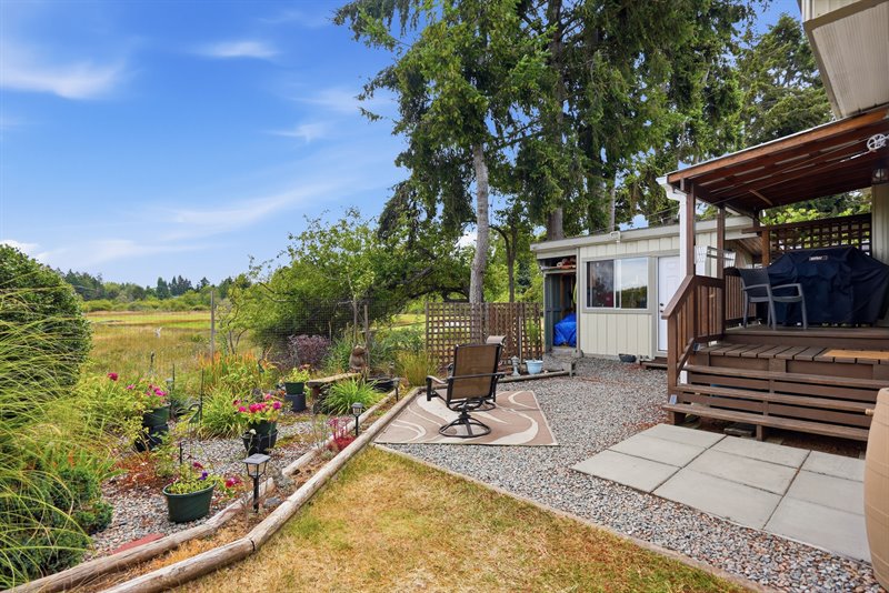 Back Deck
