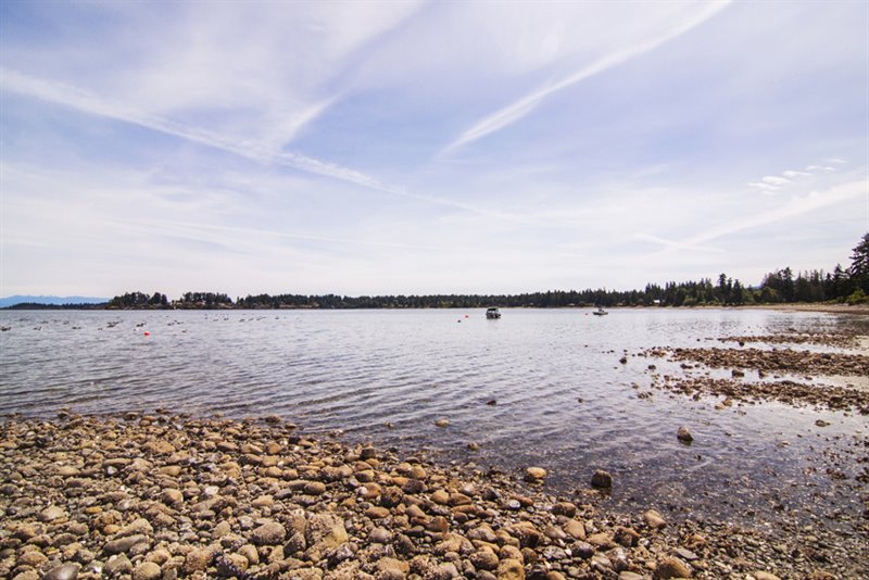 Walk to the Beach