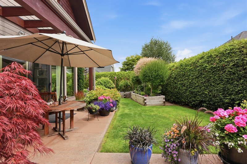 Patio 3