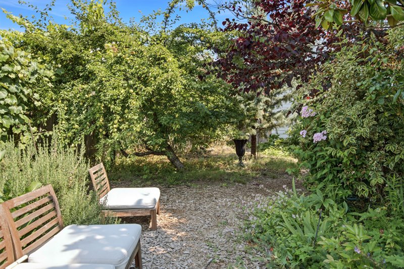 Garden Area