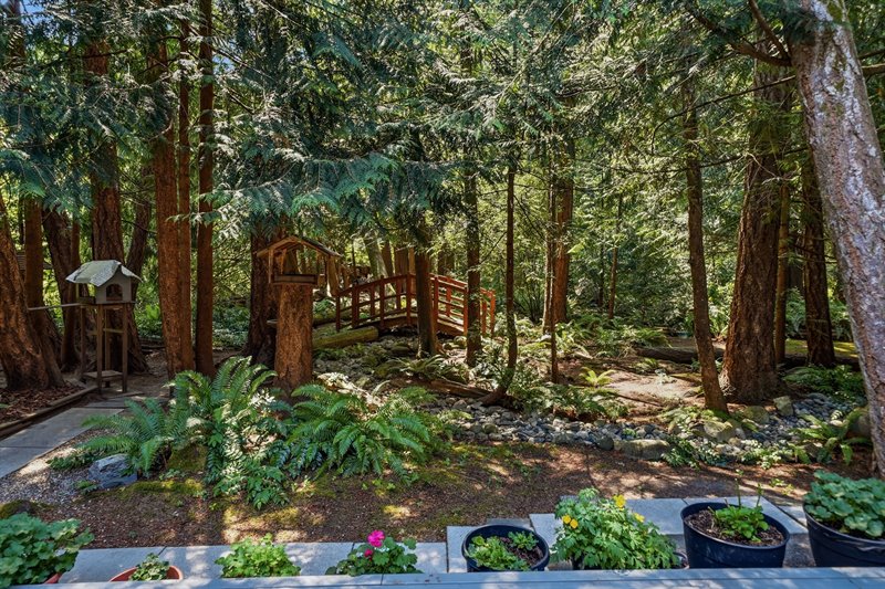 Deck View